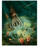 <strong>This art work shows life on the sea bottom,at a time when fishes and creatures with shells appeared on Earth.What time period is represented? </strong> A)Mesozoic B)Cenozoic C)Precambrian D)Paleozoic