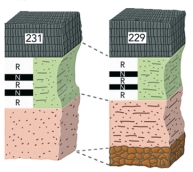 <strong>Which of the following would be LEAST useful in correlating the ages of these two sequences of rocks? </strong> A)numeric ages on the volcanic rocks on top B)the pattern of magnetic reversals (R and N) C)the overall sequence of the upper three layers D)the type of material present in the landslide at the bottom of the right column
