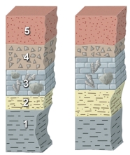<strong>This figure shows two sections of rocks.Which of the following is NOT a valid way to correlate one of the numbered units from one section to another? </strong> A)Units at the top of two sections will automatically be correlative. B)A distinctive rock type (breccia in unit 4)is probably equivalent to the same rock type in the other section. C)Match units that contain the same types of index fossils (as in unit 3). D)The shale in unit 2 is part of a distinctive sequence that is overlain by the same type of fossils.