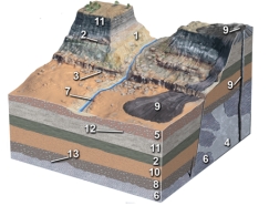<strong>Of the following numbered units,which is the youngest? </strong> A)a sedimentary layer (2) B)the fault and fault scarp (3) C)a sedimentary layer (5) D)the volcano and lava flow (9) E)the highest sedimentary layer (11)