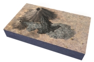 <strong>Which of the following might help determine the age of the volcanic features in this figure? </strong> A)numeric ages B)how well the shapes of the volcanoes are preserved C)how well developed soil is on the lava flows D)all of these