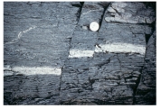 <strong>What type of deformation is shown in this photograph? </strong> A)displacement B)rotation C)internal strain of the rock D)columnar joints