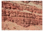 <strong>What types of structures are shown in this photograph? </strong> A)joints B)normal faults C)reverse faults D)anticlines E)synclines