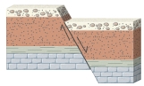 <strong>What type of fault is shown in this figure? </strong> A)normal fault B)reverse fault C)strike-slip fault D)thrust fault