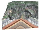 <strong>What type of structure is shown in this figure? </strong> A)thrust fault B)anticline C)syncline D)monocline E)basin