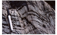 <strong>What type of metamorphic feature is shown in this photograph? </strong> A)thrust fault B)normal fault C)cleavage D)hornfels