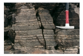 <strong>What type of metamorphic rock is shown here? </strong> A)slate B)hornfels C)greenstone D)banded gneiss