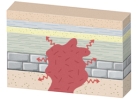 <strong>What type of metamorphism would occur in this setting? </strong> A)regional metamorphism B)contact metamorphism C)subduction D)thrust faulting