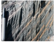 This rock is not shiny and has a well-developed cleavage that cuts across bedding.What is the correct name for this rock?