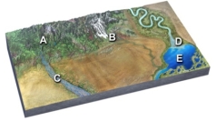 <strong>Sediments with a large amount of sand are most likely at: </strong> A)mountains at A and glaciers at B B)glaciers at B and braided river at C C)braided river at C and delta at D D)delta at D and lake at E