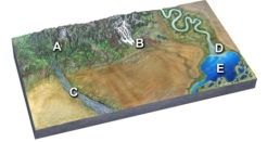 <strong>Which of the following sites would have sand and silt deposited by slowing of the current? </strong> A)mountains at A B)glacial streams at B C)braided river at C D)delta at D E)lake at E