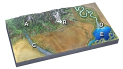<strong>Large,angular clasts are most likely at: </strong> A)mountains at A and glaciers at B B)glaciers at B and braided river at C C)braided river at C and delta at D D)delta at D and lake at E
