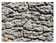 <strong>What type of weathering is best expressed in this weathered limestone? </strong> A)oxidation B)dissolution C)hydrolysis D)biologic activity