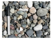 <strong>What is the best explanation for the shape of these clasts? </strong> A)they are composed of relatively soft,soluble materials B)they accumulated on a steep slope C)they have been moved by the wind and rounded by blowing sand in sand dunes D)they have been transported a significant distance