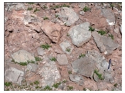 <strong>What type of rock is shown in this photograph? </strong> A)conglomerate B)breccia C)sandstone D)siltstone or shale