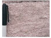 <strong>What type of rock is shown in this photograph? </strong> A)conglomerate B)breccia C)sandstone D)siltstone or shale