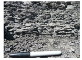 <strong>What type of rock is shown in this photograph? </strong> A)conglomerate B)breccia C)sandstone D)siltstone or shale