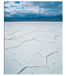 <strong>What type of rock would you form in this environment,showing a dried up lake bed? </strong> A)rock salt and other evaporite minerals B)limestone C)coal D)chert E)iron formation