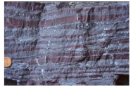 <strong>This photograph shows an iron formation.How does it form? </strong> A)evaporation of water in a lake or sea B)accumulation of microscopic organisms composed of calcium carbonate C)precipitation from seawater early in Earth's history D)accumulation of silica-rich organisms or mixing of seawater and groundwater