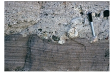 <strong>What can you infer from this contact between an overlying conglomerate and underlying sandstone? </strong> A)The conglomerate was deposited by the wind. B)There was a gradual switch from marine to nonmarine conditions. C)There was a gradual switch from nonmarine to marine conditions. D)There was an abrupt event,such as a flood.