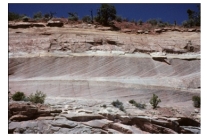 <strong>The large cross beds in these rocks indicate that the sediment was deposited: </strong> A)deep in the ocean B)in a lake with a gently sloping bottom C)by the wind or a water current D)by a debris flow E)all of these