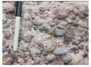 <strong>What do the characteristics of the rock in this photograph tell you about its environment? </strong> A)deposited by the wind B)transported a short distance C)transported a long distance or worked by waves D)deposited in a lake