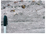 <strong>This sandstone includes small rounded pebbles and was deposited far from the ocean.What is the most likely environment in which it formed? </strong> A)sand dunes B)river C)beach next to a sea D)deep-water turbidity currents