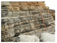 <strong>These sandstone beds are interlayered with dark marine shales.What is the most likely environment in which the sandstone formed? </strong> A)sand dunes B)river C)beach next to a sea D)deep-water turbidity currents