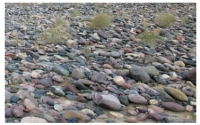 <strong>Imbricated clasts in this river means that: </strong> A)the wind was blowing from left to right B)the rocks have been shuffled by ground shaking during an earthquake C)the rocks have slid downhill to the right D)the current flowed from right to left