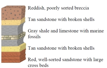 Which of the following interpretations is consistent with the character and sequence of rocks in this figure?