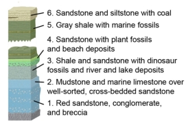 Which of the following units was most likely deposited at least partly in sand dunes?  