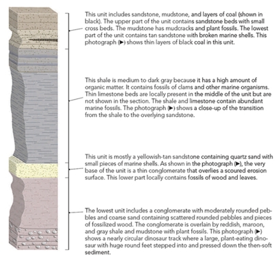 Using the stratigraphic section and photographs located in the textbook (Chapter 7 Investigation),determine the possible environments of deposition for the upper sandstone and mudstone unit.  