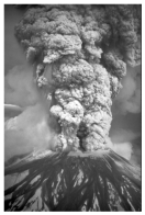 <strong>What type of volcanic eruption is shown in this photograph? </strong> A)a lava fountain B)collapse of a volcanic dome C)a fissure eruption D)a pyroclastic column E)a volcanic mudflow