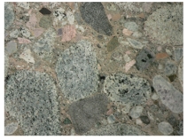 <strong>What type of rock is shown in this photograph? </strong> A)crystalline rock B)clastic rock C)rock with minerals that are too small to see D)none of these