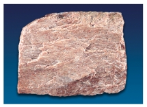 <strong>The very common mineral shown in this photograph is commonly a pink- to cream-colored mineral with wavy,light-colored lines.It does not effervesce.What mineral is it? </strong> A)garnet B)quartz C)biotite D)muscovite E)feldspar