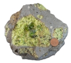<strong>Which layer in the earth has a composition similar to the green olivine in the center of this rock? </strong> A)continental crust B)oceanic crust C)mantle D)core