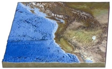 <strong>Which of the following features is present on the seafloor off the Pacific Northwest?  </strong> A)world's largest oceanic plateau B)long,fairly straight fracture zone C)world's largest linear island chain D)island arc within oceanic plates <div style=padding-top: 35px> 