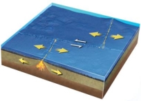 <strong>What type of plate boundary is depicted by the smaller arrows in the center of this figure?  </strong> A)divergent boundary B)convergent boundary C)transform boundary D)hot spot E)none of these <div style=padding-top: 35px> 