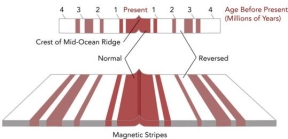 <strong>If the area shown in this figure is 240 kilometers wide,and the oldest crest is 4 million years old,what was the approximate rate of seafloor spreading across this ridge?  </strong> A)0.24 kilometers per million years B)2.4 kilometers per million years C)60 kilometers per million years D)240 kilometers per million years E)960 kilometers per million years <div style=padding-top: 35px> 
