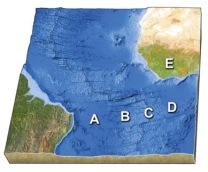 <strong>On the accompanying figure,which letter is over the youngest oceanic crust?  </strong> A)A B)B C)C D)D E)E <div style=padding-top: 35px> 