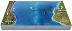 <strong>Which location on this figure from the Investigation is located on a passive continental margin?  </strong> A)1 B)2 C)3 D)4 E)5 <div style=padding-top: 35px> 