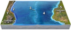 <strong>On the accompanying map,earthquakes are least likely at locations:  </strong> A)1,2,and 3 B)1 and 4 C)1 and 5 D)2,3,and 4 E)4 and 5 <div style=padding-top: 35px> 