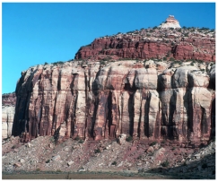 What are some components of the landscape shown in this photograph?