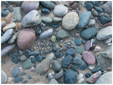 The sediment in this photograph most likely formed in:  