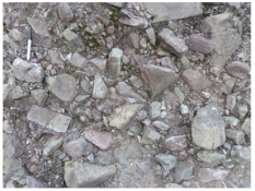 The sediment in this photograph mostly likely formed in:  