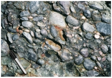 The rock in this photograph mostly likely formed in: