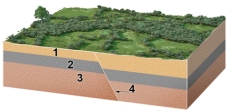 <strong>What is the youngest unit or feature in this figure? </strong> A)1 B)2 C)3 D)4 E)there is no way to tell