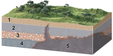 What is the youngest unit or feature in this figure?