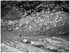 <strong>The oldest unit or feature in this photograph is: </strong> A)the rock at the top that contains angular fragments B)the gray layer in the middle of the photograph C)the tilted rocks at the bottom D)there is no way to tell