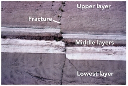 What order did the rock layers and features form in this photograph (listed from oldest to youngest)?